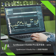 Pro + 1 Chinese Vocalist Bundle (Dreamtonics Taobao)[42]