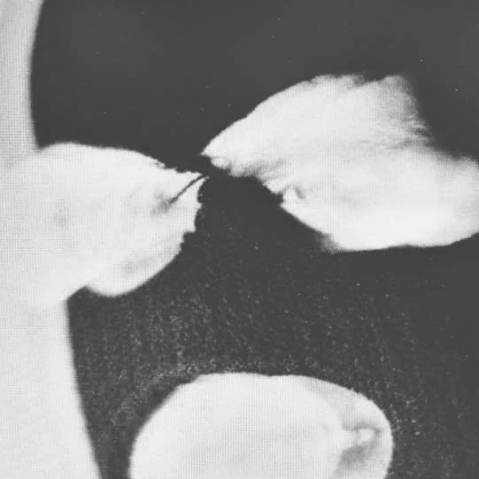 Makeup and Vanity Set Synthwave Wiki Fandom