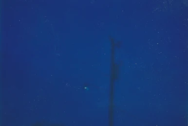 その他 ssy_ 2814 (Album) | Vaporwave Wiki | Fandom