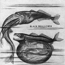 Black Swallower