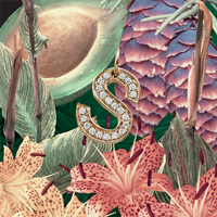 S (2013)