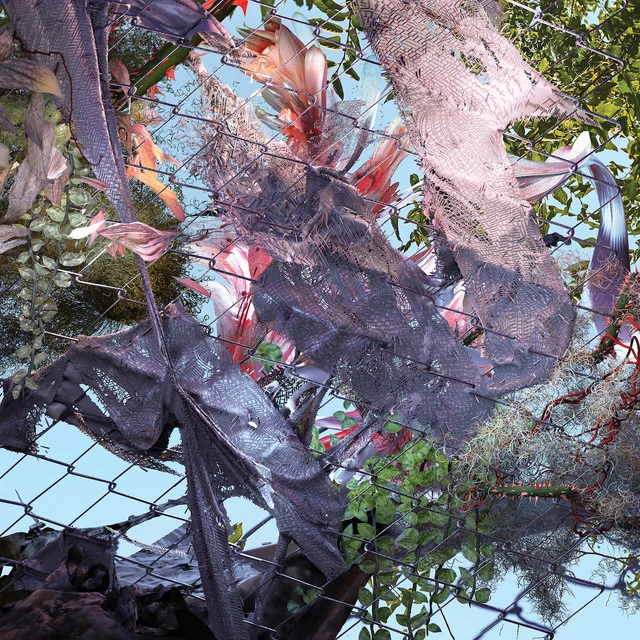 Down 4 Whatever | SZA Wiki | Fandom