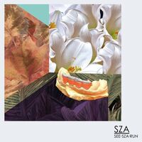 See.SZA.Run (2012)
