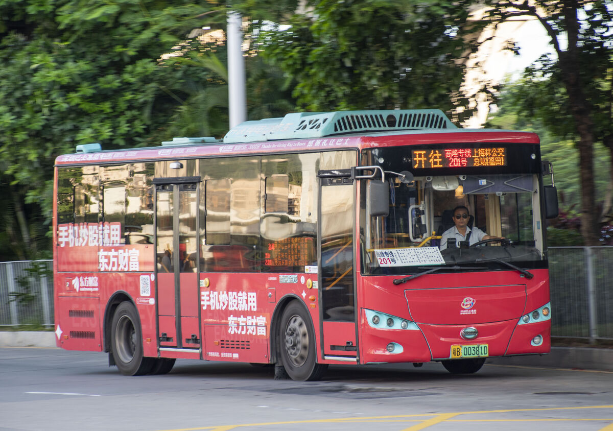 即日起，深圳这些公交线路进行调整！高峰专线8号将增加班次_深圳新闻网