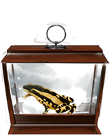 Harlequin Toad.png