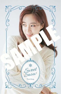 T-ARA ウンジョン Sweet Snow MUSIC CARD - メルカリ