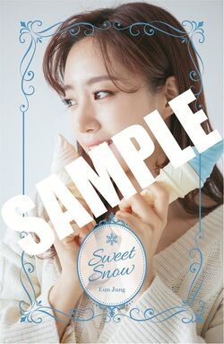Sweet Snow | T-ara Fans Wiki | Fandom