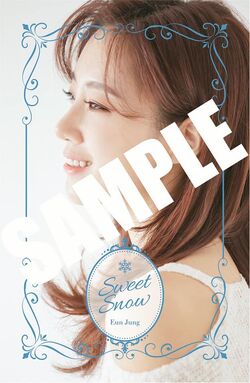 Sweet Snow | T-ara Fans Wiki | Fandom