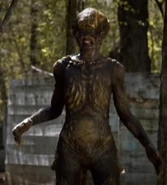 Чёрная моряна Нимата в боевой шкуре. Кадр из сериала "Тайный Город"