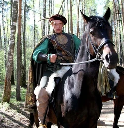 Мечеслав, барон домена Сокольники. Кадр из сериала "Тайный Город".