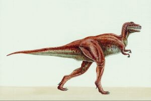 TYrannosaurus bataar 7