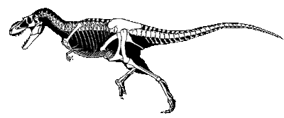 Albertosaurus sarcophagus