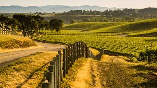 Santa Ynez Creek