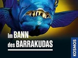 Im Bann des Barrakudas