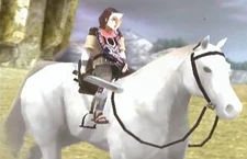 Wander wearing the Shaman's Mask and Cloak while riding a white Agro.