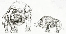 Two early sketches of Sirius.