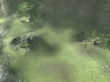 Trees, doves and an oasis on the northwestern cliff.