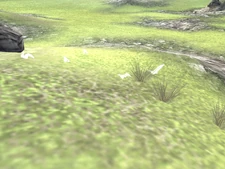 The doves resting in E7.