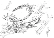 Previous sketch of the 13th colossus with more details.