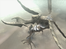 How To Defeat The 13th Colossus In Shadow Of Colossus