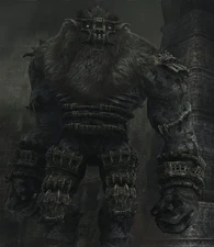 The 6th colossus viewed from the front.