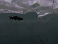 Some bluefish swimming under the lake.