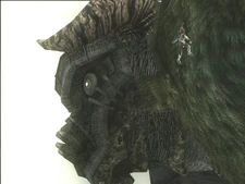 Wander climbing the early 2nd colossus.