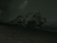 Kame sleeping with its cave filled with water.