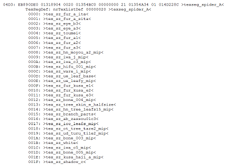Spider's texture segment.