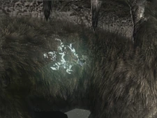 The sigil exclusive to hard mode n the colossus' left side.