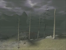 The trees originally from Crater, now in the 9th Colossus' arena.