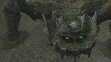 The major sigil on top of the 9th colossus' head.