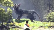 Trico looking back at its companion.