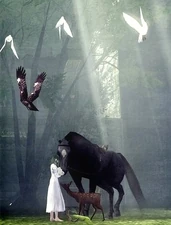 A few doves seen in the secret garden in Shadow of the Colossus.