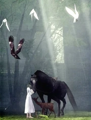 Various animals gather in the .