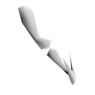 The thigh and leg models.