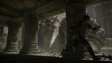 The colossus following Wander's movements.