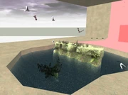 Doves, kites and gulls flying around the lake.