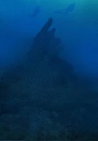 Fin.jpg (11 KB) A photo of the fin on the "statue"