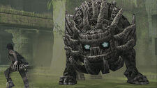 Wander facing the 14th colossus.