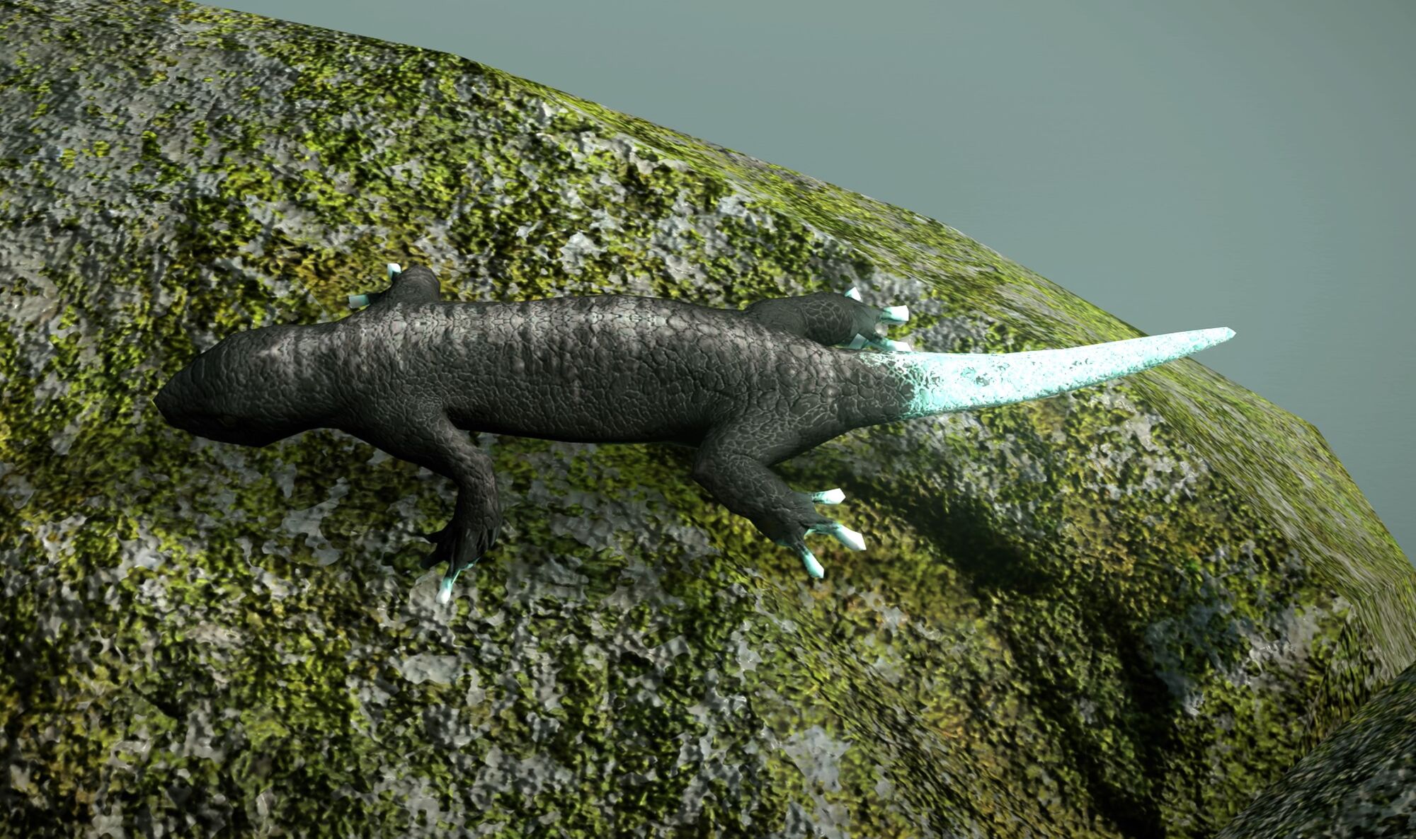 pics Green Tailed Skink white tailed lizards team ico wiki