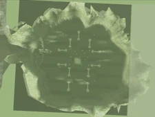 Canyon viewed from above.