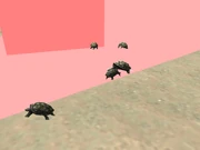 Tortoises of different sizes walking around.