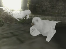 Doves in Shadow of the Colossus.