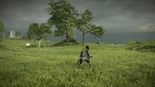 Wander with doves near the Eastern Bluff shrine in the PS4 remake.
