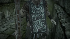 SHADOW OF THE COLOSSUS 20180220120013.jpg (1.38 MB) Wander's clothes as seen in the game's PS4 remake.