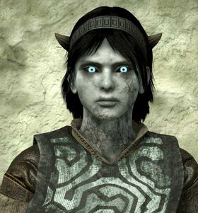 Shadow of the Colossus, Team Ico Wiki