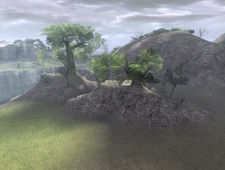 Fruit trees and the Blasted Lands at the other side of the sea.