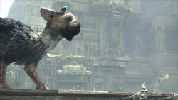 The Last Guardian Collector's Edition - Collector's Edition - PlayStation  4, Sony PlayStation 4 Pro 