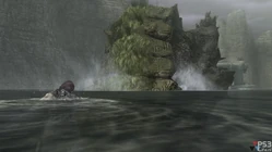 Moss on the shell of the 12th colossus.